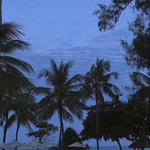 我的老婆竟加入黑桃俱乐部小说
